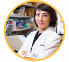 Profile picture of Alexandra Taraboletti, Ph.D.