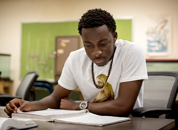 Student reading a text book