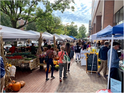 A vibrant outdoor farmers market bustling with shoppers under sunny skies.