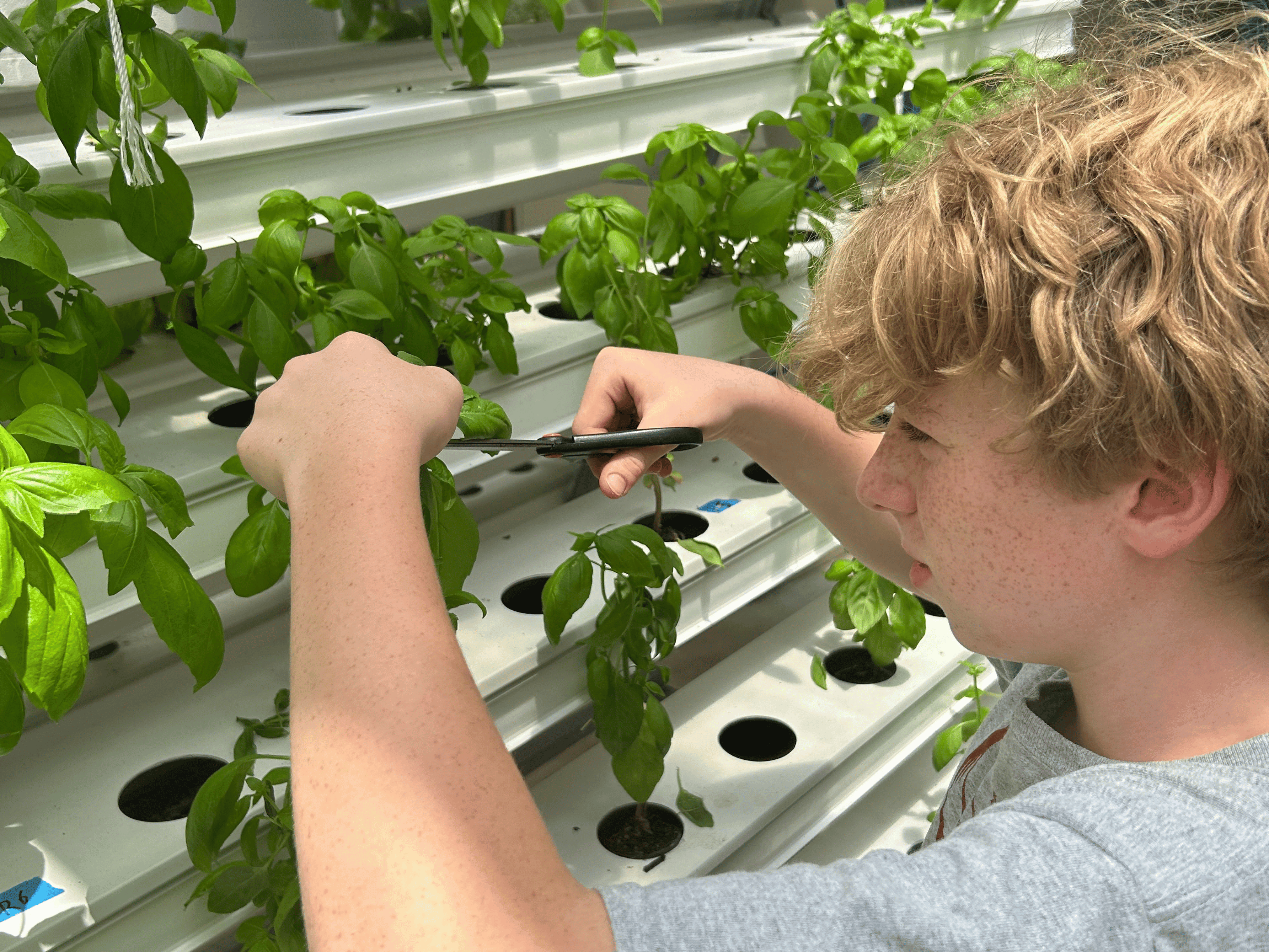 Participant at Hydroponics Better Nutrition Summer Camp 2025