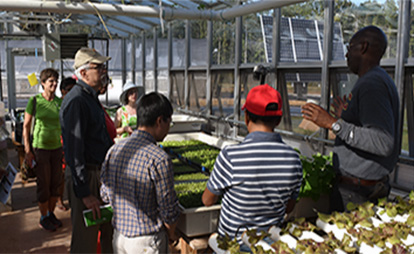 People in a green house