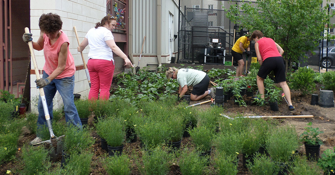 People working in a garden